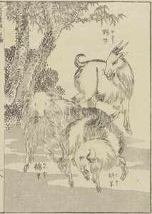 Cabras, c. 1840
