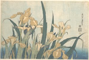 El saltamontes y el iris de Katsushika Hokusai