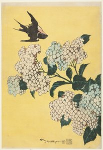 Hortensia y golondrina, de una serie sin título de flores grandes