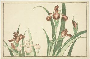 Iris, del Libro de Pinturas Realistas de Hokusai (Hokusai shashin gafu) de Katsushika Hokusai