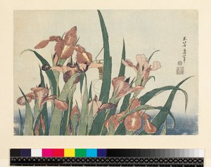 Iris y saltamontes, pub. por Nishimura Eijudo, c.1832