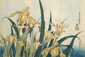 Iris con un saltamontes, pub.1830