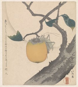 Kaki con saltamontes de Katsushika Hokusai