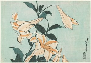 Lirios de Katsushika Hokusai
