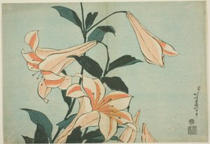 Lirios, de una serie sin título de Flores Grandes de Katsushika Hokusai