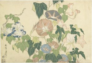 Glorias de la mañana y rana arbórea, de la serie sin título conocida como Grandes Flores, c.1833-34