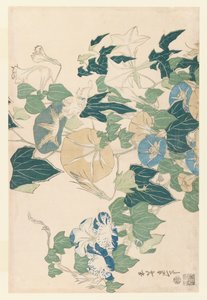 Glorias de la mañana en flores y capullos, c.1830