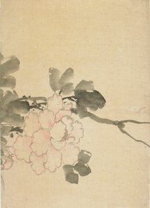 Peonía, finales del siglo XVIII-principios del siglo XIX de Katsushika Hokusai