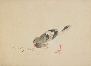Paloma, finales del siglo XVIII - principios del siglo XIX de Katsushika Hokusai