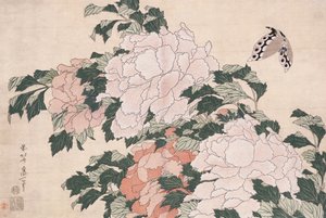 Peonías rosas y rojas sopladas a la izquierda en una brisa y una mariposa