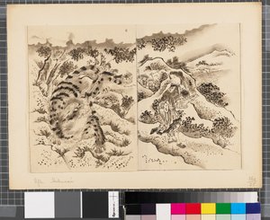 Escenas de la guerra entre Japón y Corea, finales del siglo XVIII-primera mitad del siglo XIX (tinta y aguada sobre papel)