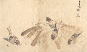 Gorriones, ca. 1825