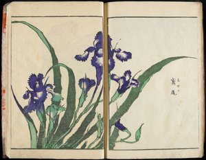 Transmitir el espíritu y revelar la forma de las cosas: El jardín de imágenes de Hokusai, vol. 1 completo de Katsushika Hokusai