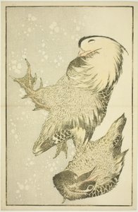 Dos aves acuáticas, del Libro de Pinturas Realistas de Hokusai (Hokusai shashin gafu) de Katsushika Hokusai