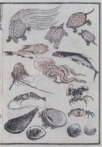Criaturas submarinas, de un Manga de Katsushika Hokusai