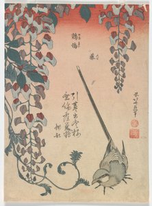Lavandera y glicinia, período Edo, 1834 de Katsushika Hokusai