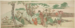 Mujeres y niños de picnic
