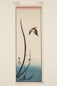 Mariposa y hierba de Katsushika II (fl.1820 50) Taito