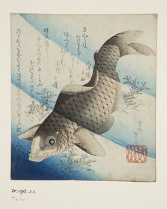 Carpas en el agua de Katsushika II (fl.1820 50) Taito