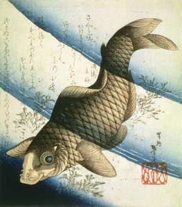 Una carpa nadando entre algas, c.1832 de Katsushika II Taito
