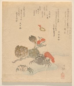 Cangrejos con rama de rosas chinas