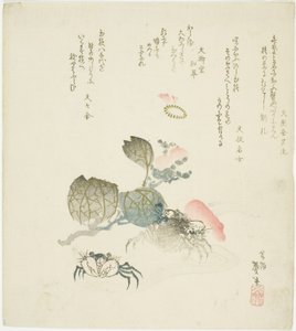 Dos Cangrejos junto a una Rociada de Camelia de Katsushika Taito II