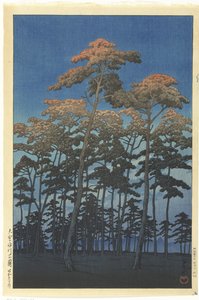 Miembro del Parque Hikawa Omiya