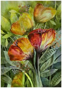  de Kay Shanley