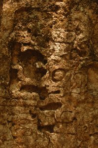 7319 Oxpemul; Maya; Culturas antiguas; Maya; México; Reserva de la Biosfera Maya; Ivan Spr..., 2004 (foto)