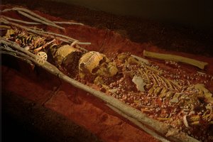 Arqueología; Homínido; Hominino; Evolución humana - Homo sapien Sapiens; Evolución humana; Hielo A..., 2000 (foto)