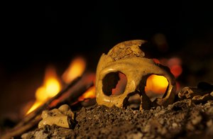 DOH; Neandertales de 130.000 años de antigüedad, cráneo de mujer, Krapina 3, cueva de Krapina, Balcanes. de Kenneth Garrett