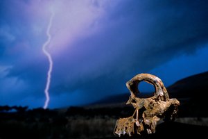 DOH; The First Steps,Broken Skull, STW 847, Lightning, High veld, Swartkrans, Sudáfrica, 2008 (foto)