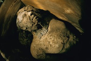 Egipto; Arqueología; Reino Antiguo; Saqqara; Momia; Nefer; Tumba, V Dinastía
