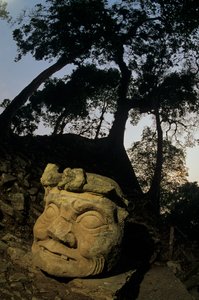 Dios N, Ceiba, templo, Maya, Copan, Honduras, Periodo Clásico de Kenneth Garrett