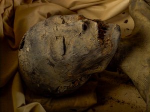 Momia de la madre del Rey Tut (conocida como la Dama Joven)