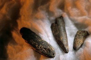 Puntas de hueso afiladas utilizadas para excavar,Del yacimiento de Drimolean, cerca de...