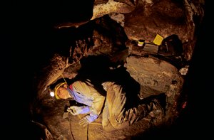 Quiénes fueron los primeros americanos, Timothy Heaton, excavando, Cueva de las Rodillas, Príncipe..., 2008 (foto) de Kenneth Garrett
