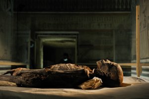 mm7864; Dinastía XVIII; Reino Nuevo; Egipto; ADN; Muestra; Momia, momia desconocida, 2005 (foto)