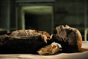 mm7864; Dinastía XVIII; Reino Nuevo; Egipto; ADN; Muestra; Momia, momia desconocida, 2005 (foto)