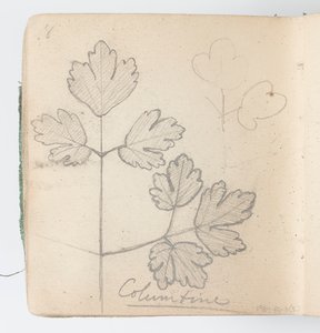 Página de Cuaderno de Bocetos: Columbina de Kenyon Cox