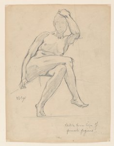 Estudio de una figura femenina