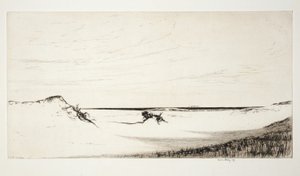 Arena y mar, Cape Cod de Kerr Eby