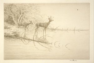  de Kerr Eby