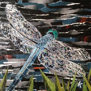 Dardo - Libélula Emperador en el río