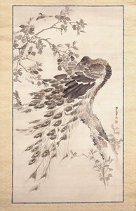 Peacock On Cherry-Apple Tree (tinta y color sobre seda)