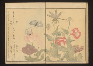 Mariposas y libélulas cerca de amapolas de Kitagawa Utamaro