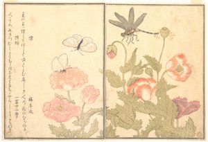  de Kitagawa Utamaro