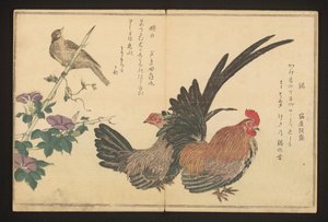 Gallo y escribano de Kitagawa Utamaro