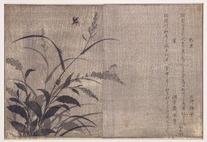 Grillo y luciérnagas, 1788 de Kitagawa Utamaro