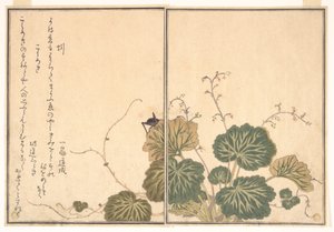  de Kitagawa Utamaro